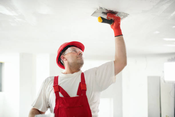 Best Mold Removal for HVAC Installations  in Palm City, FL